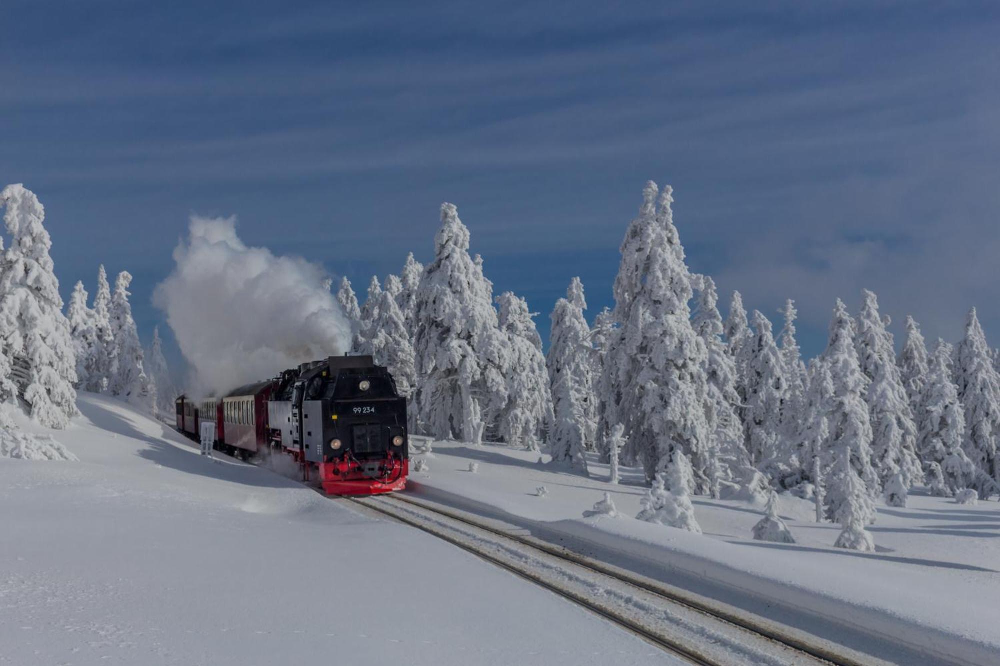 Fewo Fuchsbau Mit Dampfdusche #Kamin#Innenstadtnaehe#Netflix Von Harztraveler Bad Harzburg Eksteriør bilde